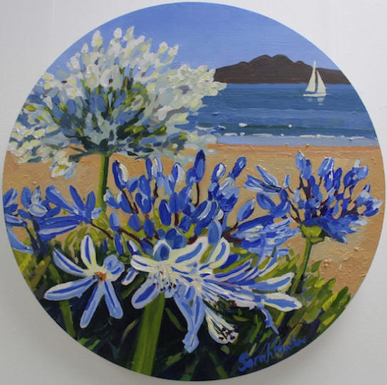 Rangitoto Agapanthus